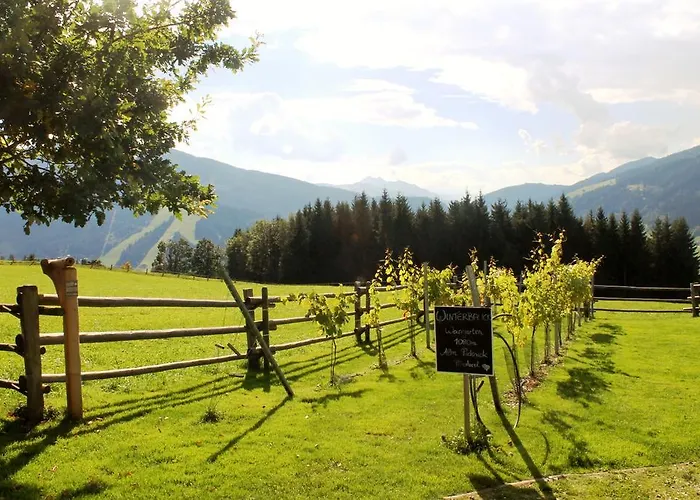 Domek alpejski Winterbauer Flachau