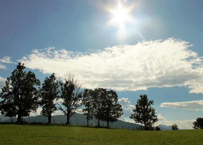 Domek alpejski Winterbauer Flachau